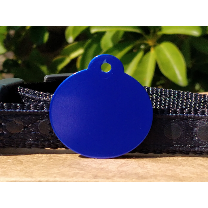 Coloured Round Tags - Large