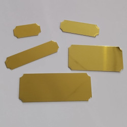 38mm x 13mm Trophy Plate