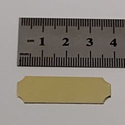 38mm x 13mm Trophy Plate