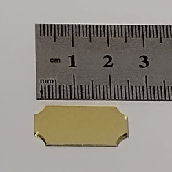 38mm x 13mm Trophy Plate