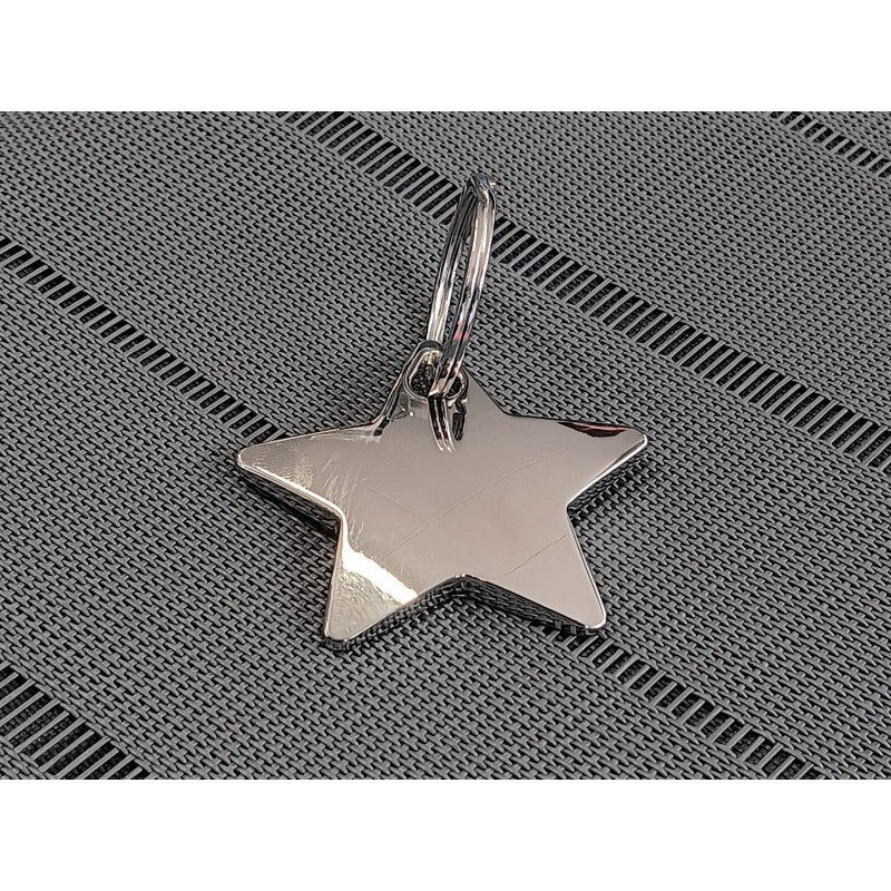 Chrome Star Key Ring