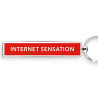 Internet Sensation