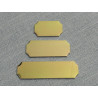 38mm x 13mm Trophy Plate